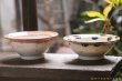 画像3: 浜坂尚子　カラフルカレー皿 (3)