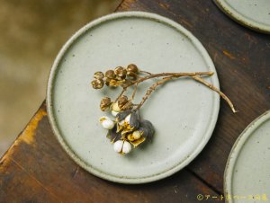 画像: 長谷川哲也　小皿　11cm　緑青【アソート作品】