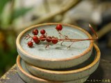 画像: 長谷川哲也　小皿　緑青【アソート作品】