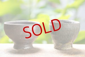 画像: 加地学　さけのみ