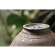 画像8: 加地学　鉢 (8)