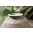 画像9: 加地学　鉢 (9)