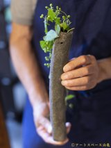 画像: 加地学　南蛮焼締　掛花生