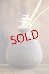 画像: 加地学　南蛮焼締　花生