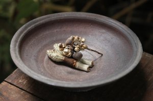 画像: 加地学　南蛮焼締　鉢