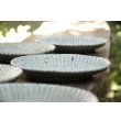 画像2: 加藤祥孝　荒ワサビ粉引　7寸楕円輪花深皿 (2)