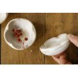 画像2: 北側雄一　白砂釉　輪花豆鉢【アソート作品】 (2)