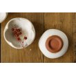 画像3: 北側雄一　白砂釉　輪花豆鉢【アソート作品】 (3)