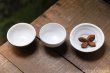 画像3: 許斐良助　酒器　盃 (3)