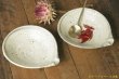 画像3: 工藤和彦　白樺ホワイト平片口７寸鉢 (3)