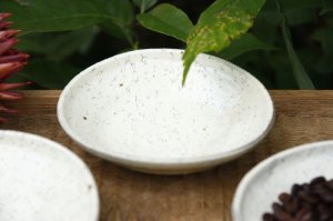 画像: 工藤和彦　 白樺ホワイト　５寸たわみ鉢