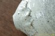 画像8: 工藤和彦　白樺ホワイト平片口７寸鉢 (8)