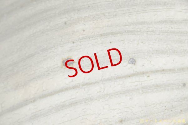 画像7: 工藤和彦　白樺刷毛目たわみ７寸皿 (7)