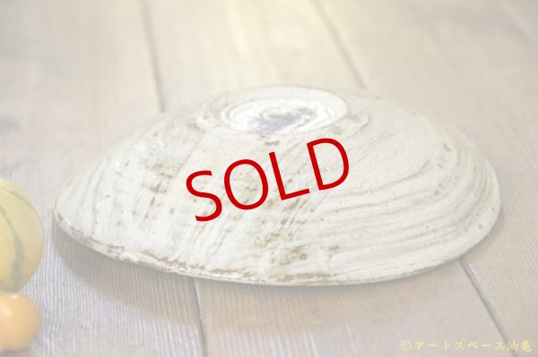 画像9: 工藤和彦　白樺刷毛目たわみ７寸皿 (9)