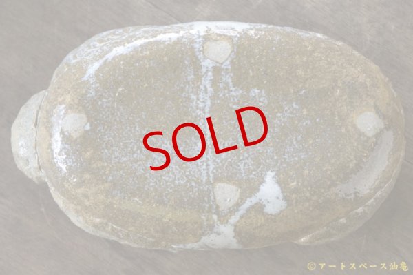 画像10: 増田光　ラッコ皿 (10)