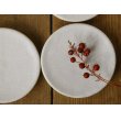 画像1: 夏草　マット釉灰水　3寸皿【アソート作品】 (1)