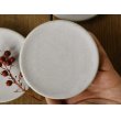 画像2: 夏草　マット釉灰水　3寸皿【アソート作品】 (2)