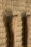 画像4: 奥山泉　木のスプーン（約 17.0 〜 20.0 cm） (4)