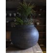 画像8: 大澤哲哉　大甕（黒）large earthenware pot   black (8)