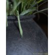 画像3: 大澤哲哉　大甕（黒）large earthenware pot   black (3)