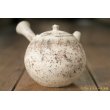 画像6: 大澤哲哉　Tea pot（急須）　白 (6)