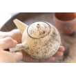 画像1: 大澤哲哉　Tea pot（急須）　白 (1)