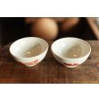 画像2: 大園篤志　茶碗　絵付　赤茶 (2)