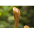 画像6: PORD HAND WORKS　Driftwood spoon (6)