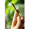 画像5: PORD HAND WORKS　Driftwood spoon (5)