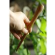 画像4: PORD HAND WORKS　Driftwood spoon (4)