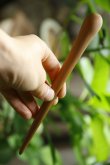画像4: PORD HAND WORKS　Driftwood spoon (4)