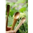 画像1: PORD HAND WORKS　Driftwood spoon (1)