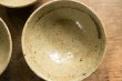 画像7: 四海大　マスカットオブアレキサンドリア　灰釉　飯碗 (7)
