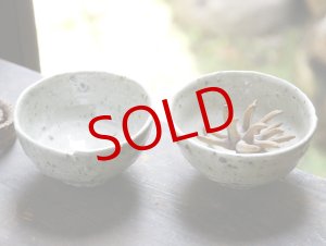 画像: 四海大　白化粧碗
