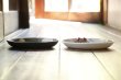 画像6: シマシマポタリ　深皿　(中) (6)