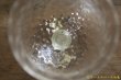 画像10: 白神典大　マスカットオブアレキサンドリア灰　ワイングラス (10)
