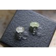 画像3: 白神典大　マスカットオブアレキサンドリア灰　フェイクピアス【アートスペース油亀限定作品】 (3)