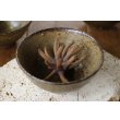 画像3: 杉村和香　灰釉飯碗【アソート作品】 (3)