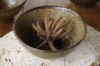 画像3: 杉村和香　灰釉飯碗【アソート作品】 (3)