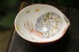 画像: 田川亞希　デボン注器