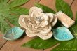 画像8: タナベヨシミ　お花のセット（６点） (8)