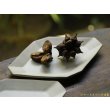 画像3: 塚本友太　ひし形S　白【アソート作品】 (3)