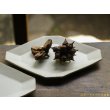 画像1: 塚本友太　ひし形S　白【アソート作品】 (1)