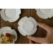 画像4: 塚本友太　花豆皿　白【アソート作品】 (4)
