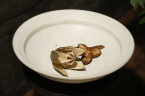 画像: 八木橋昇 粉引マットリム鉢 7.5寸【アソート作品】