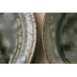 画像6: 八木橋昇　茶ビードロ　楕円リム皿 (6)