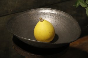 画像: 山本泰三　黒煌　8寸たわみ浅鉢