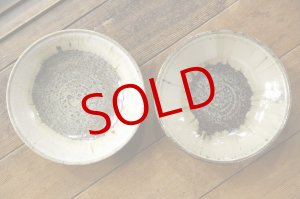 画像: 山本泰三　野黄晶　７寸浅皿