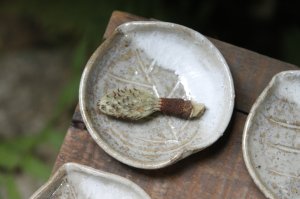 画像: 山本泰三　信古黄晶　木ノ葉皿【アソート作品】