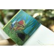 画像8: 吉行鮎子　絵本「あかいピアノ」＜初回特典サイン入り＞【レターパック対応商品】 (8)